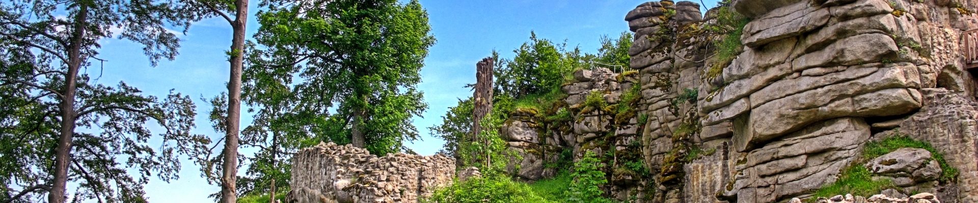 Urlaub im Steinwald, rund um das ARIBO Hotel in Erbendorf